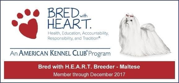 AKC Bred with H.E.A.R.T. Breeder Maltese historical credential, member through December 2017